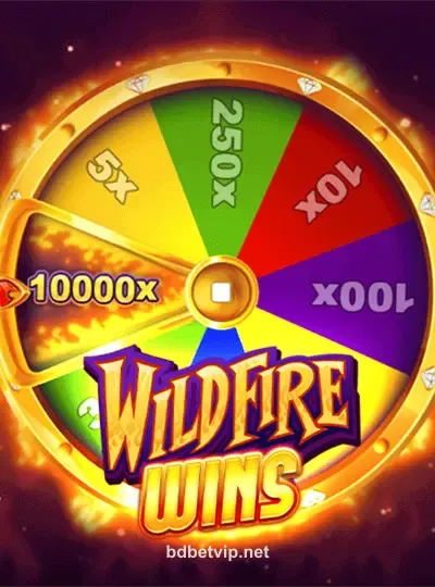 ওয়াইল্ডফায়ার উইনস গেম ইমেজ